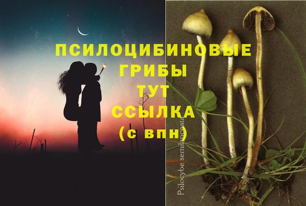 бутират Баксан