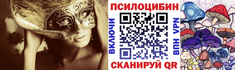 Псилоцибиновые грибы мицелий  Волгореченск 